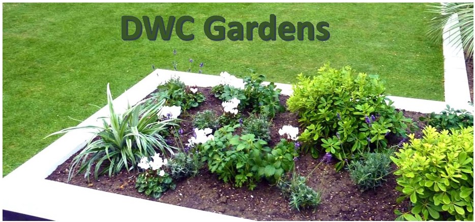 DWC Gardens
